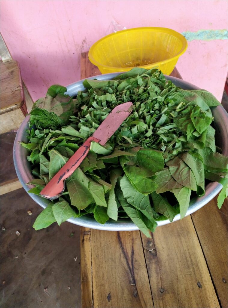 Feuilles d'épinards pour la Sauce Mantindjan – © Visiter le Bénin